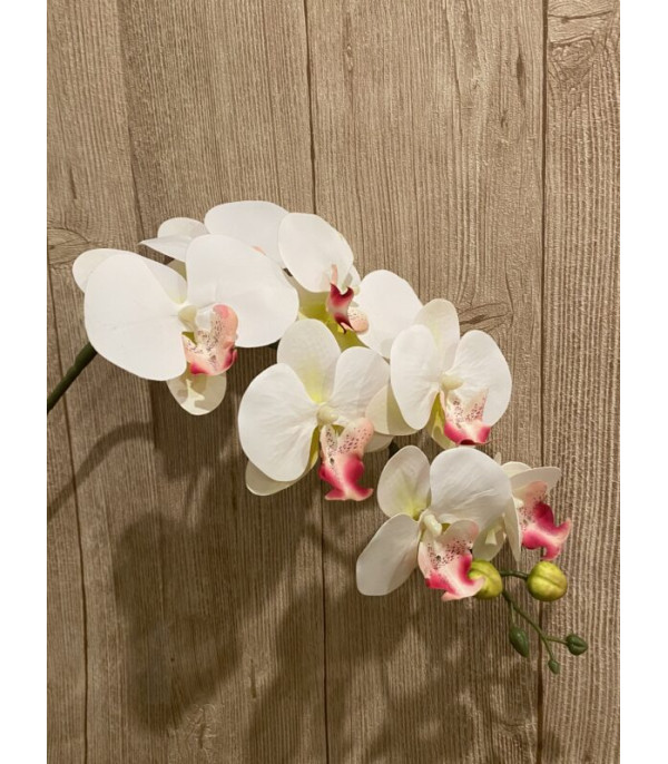 gałązka storczyk orchidea 90 cm